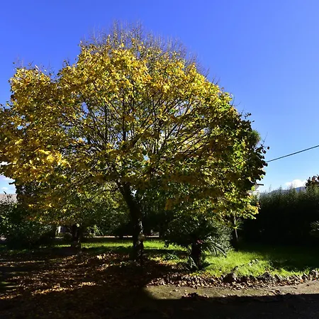 Guest house Anna Maria - Telese