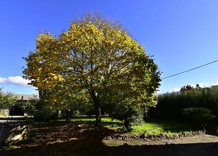 Guest house Anna Maria - Telese